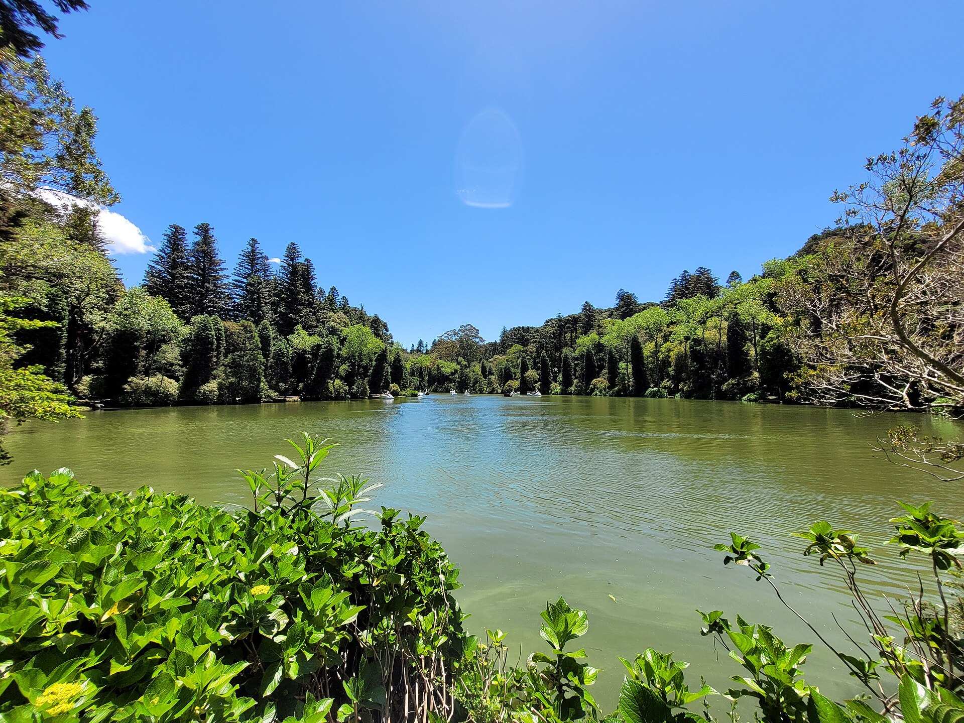 Lago Negro em Gramado, com margens cobertas por árvores e hortênsias em primeiro plano